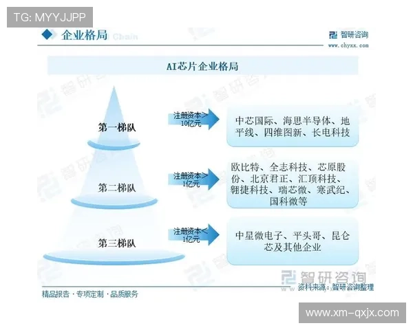 《中国企业家：从创新驱动到全球布局，探索中国企业未来的突破之道》
